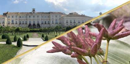 Guided visit - Reggia di Portici - MUSA
